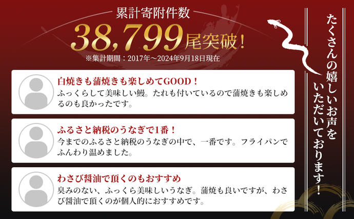 静岡県浜松市のふるさと納税 国産うなぎ 浜名湖産 白焼き 大 3本 (125g×3本) 山椒 たれ セット 詰め合わせ 海老仙 国産ウナギ 国産 ウナギ 鰻 白焼き 白焼きうなぎ 小分け おすすめ 贈答用 ギフト 冷凍 土用の丑の日 静岡 静岡県 浜松市