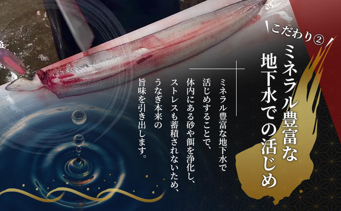 静岡県浜松市のふるさと納税 国産うなぎ 浜名湖産 白焼き 大 3本 (125g×3本) 山椒 たれ セット 詰め合わせ 海老仙 国産ウナギ 国産 ウナギ 鰻 白焼き 白焼きうなぎ 小分け おすすめ 贈答用 ギフト 冷凍 土用の丑の日 静岡 静岡県 浜松市