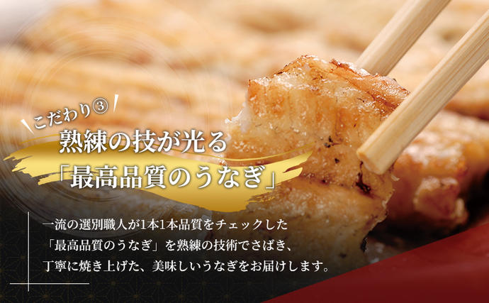 静岡県浜松市のふるさと納税 国産うなぎ 浜名湖産 白焼き 大 3本 (125g×3本) 山椒 たれ セット 詰め合わせ 海老仙 国産ウナギ 国産 ウナギ 鰻 白焼き 白焼きうなぎ 小分け おすすめ 贈答用 ギフト 冷凍 土用の丑の日 静岡 静岡県 浜松市