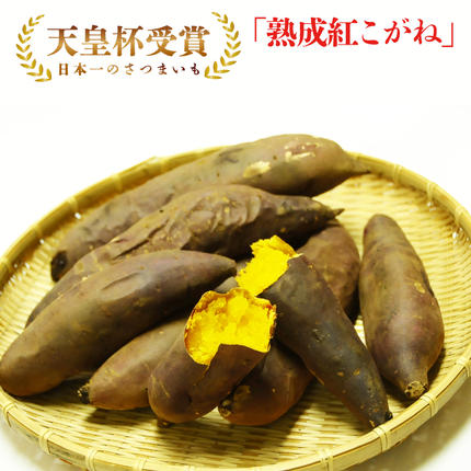 茨城県行方市のふるさと納税 【行方かんしょ】『天皇杯受賞』JA「紅こがね」さつまいも約5kg(AE-106)