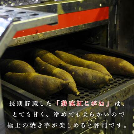 茨城県行方市のふるさと納税 【行方かんしょ】『天皇杯受賞』JA「紅こがね」さつまいも約5kg(AE-106)