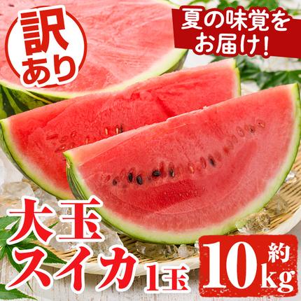 追記訳あり！鹿児島県産 大玉スイカ(1玉・