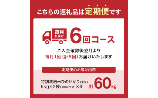 京都府木津川市のふるさと納税 【定期便6か月】<特別栽培米>京都府木津川市産ひのひかり 玄米60kg(10kg×6回） 毎日の健康に 【053-41】