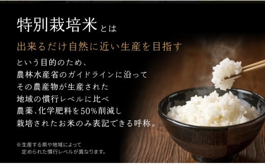 京都府木津川市のふるさと納税 【定期便6か月】<特別栽培米>京都府木津川市産ひのひかり 玄米60kg(10kg×6回） 毎日の健康に 【053-41】