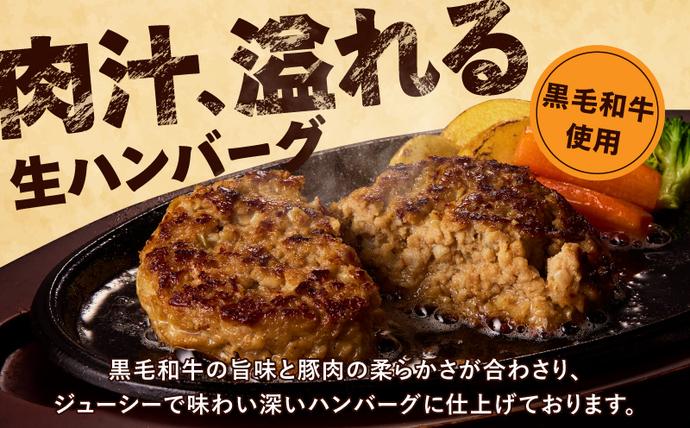 冷凍のまま焼くだけ！】特大ハンバーグ 200g×20個【黒毛和牛入り BIG