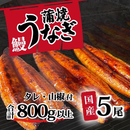 茨城県八千代町のふるさと納税 【訳アリ】国産うなぎ 蒲焼き 5尾 セット ( 800g 以上) 大きさの不揃い タレ・山椒付き ウナギ 鰻 不揃い ふぞろい うな重 ひつまぶし 人気 茨城 八千代町 ふるさと納税 冷凍 [SF931ya]