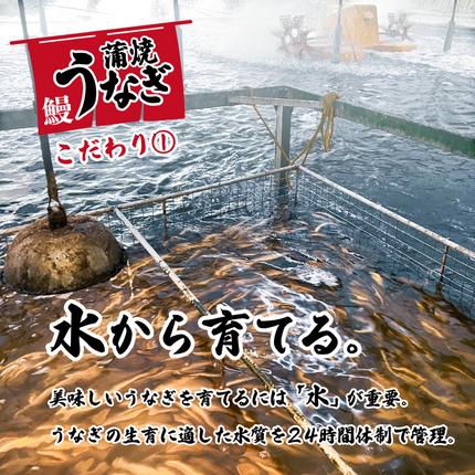 茨城県八千代町のふるさと納税 【 訳アリ 】 国産うなぎ 蒲焼き 5尾 セット ( 640g 以上) 大きさ の不揃い 山椒付き ウナギ 鰻 ふぞろい 不揃い うな重 ひつまぶし 人気 茨城 八千代町 ふるさと納税 冷凍 [SF143ya]