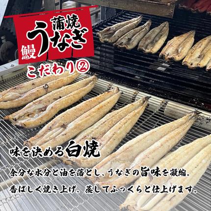 茨城県八千代町のふるさと納税 【 訳アリ 】 国産うなぎ 蒲焼き 5尾 セット ( 640g 以上) 大きさ の不揃い 山椒付き ウナギ 鰻 ふぞろい 不揃い うな重 ひつまぶし 人気 茨城 八千代町 ふるさと納税 冷凍 [SF143ya]