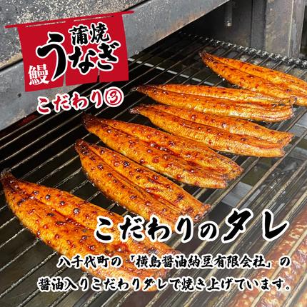 茨城県八千代町のふるさと納税 【 訳アリ 】 国産うなぎ 蒲焼き 5尾 セット ( 640g 以上) 大きさ の不揃い 山椒付き ウナギ 鰻 ふぞろい 不揃い うな重 ひつまぶし 人気 茨城 八千代町 ふるさと納税 冷凍 [SF143ya]