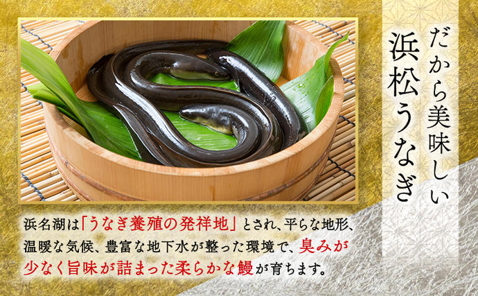 静岡県浜松市のふるさと納税 お食事券 うなぎ 浜松市24店舗で使える 3000円 食事券 補助券 チケット レストラン 料理屋 鰻 ウナギ 土用の丑の日 静岡 静岡県 浜松市