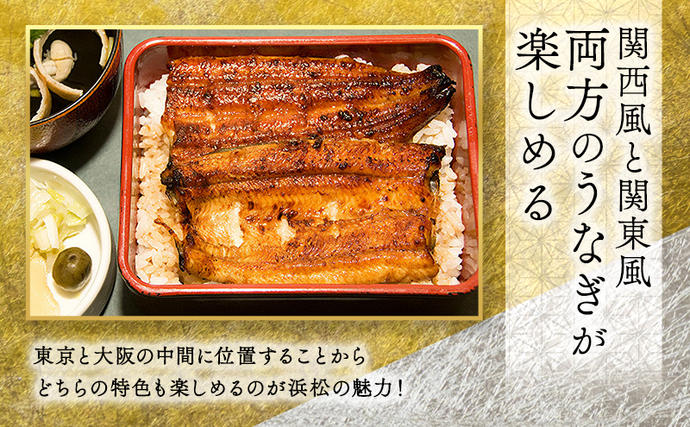 静岡県浜松市のふるさと納税 お食事券 うなぎ 浜松市24店舗で使える 3000円 食事券 補助券 チケット レストラン 料理屋 鰻 ウナギ 土用の丑の日 静岡 静岡県 浜松市