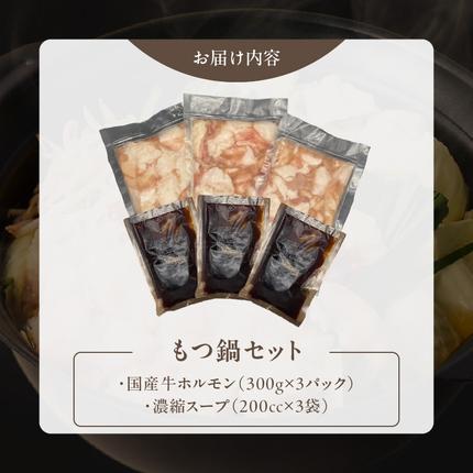 愛知県小牧市のふるさと納税 【食肉総合卸 丸正】厳選国産牛のもつ鍋セット（9人前）［153M01］