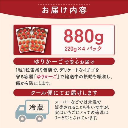 佐賀県大町町のふるさと納税 いちごさん 880g (220g×4p)