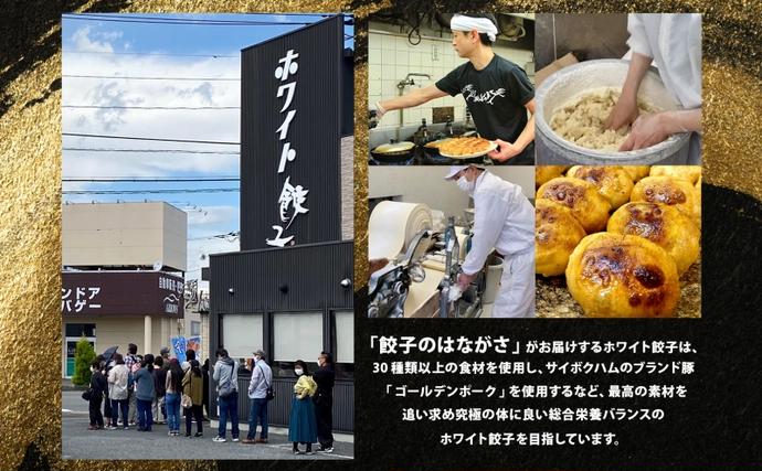 埼玉県日高市のふるさと納税 餃子のはながさ ホワイト餃子 16個×2パック お試し 冷凍 中華 点心 B級グルメ ご当地 野菜 おつまみ おかず 簡単調理 時短 豚肉 ポーク 大きめ ジューシー ギフト お取り寄せ 日高市
