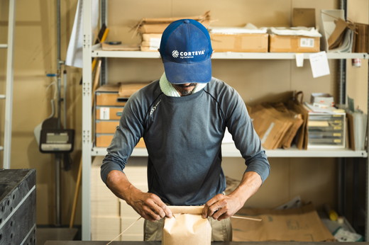 愛媛県鬼北町のふるさと納税 【R7年産】鬼米×ひめの凜（プレミアムクオリティ） 各5kg （計10kg） ｜ お米 お米不足 お米品薄 おいしい お米 事業者支援 送料無料 白米 精米 国産 限定 ごはん ご飯 白飯 ゴハン 愛媛県産 鬼北町 ※2025年11月上旬より順次発送予定