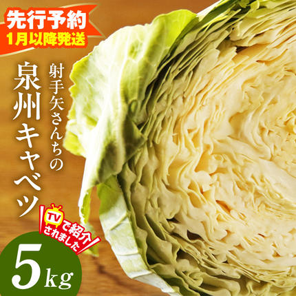 【先行予約】泉州キャベツ 5kg 2～5玉