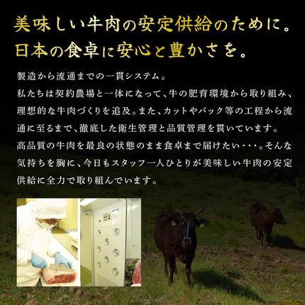 兵庫県加西市のふるさと納税 神戸牛 すき焼き用 食べ比べ Bセット 1kg 肩ロース スライス 牛肉