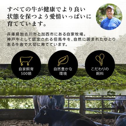 兵庫県加西市のふるさと納税 神戸牛 ロースステーキ 1枚 200g A4ランク A5ランク 牛肉 肉 国産