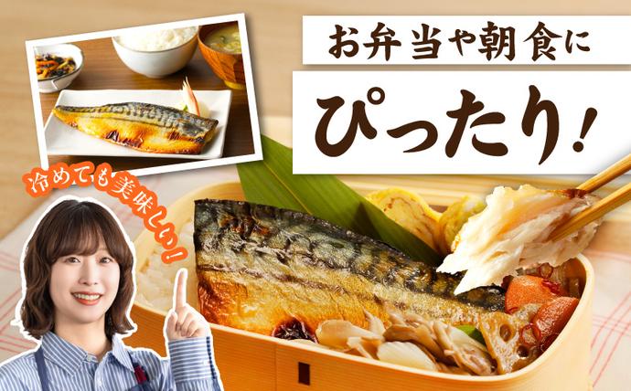 大阪府泉佐野市のふるさと納税 上質脂が乗った 鯖西京漬!! 005A086