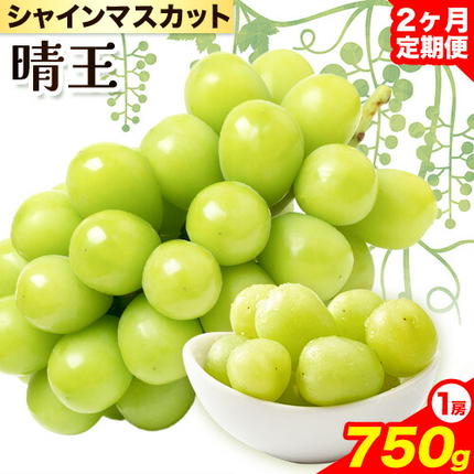 【2026年先行予約】シャインマスカット 