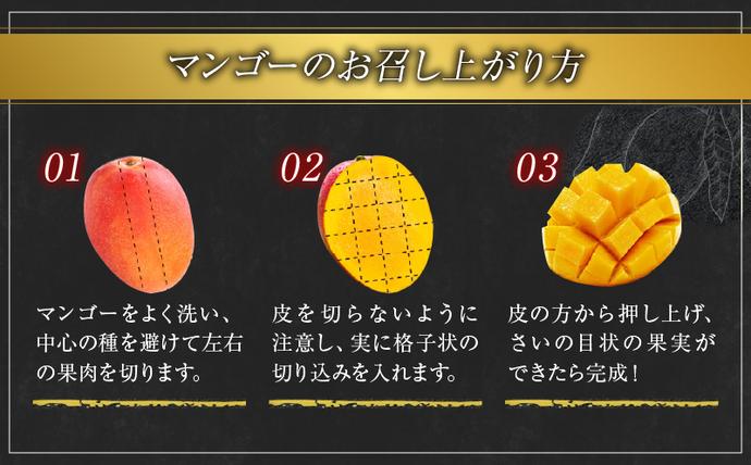 宮崎県日南市のふるさと納税 完熟マンゴー 太陽のタマゴ 2玉 ～ 3玉 期間限定 数量限定 マンゴー 宮崎 フルーツ 果物 くだもの 国産 食品 先行予約 2026 令和8年発送 濃厚 デザート おやつ おすすめ 冷蔵 ご褒美 おすそわけ 化粧箱入り ギフト プレゼント 贈り物 贈答 日南市 送料無料_FD13-25