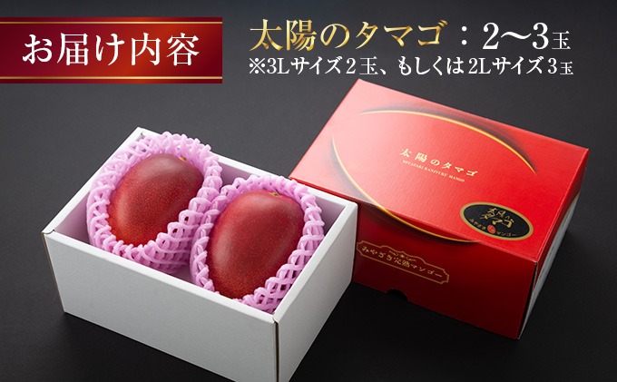 宮崎県日南市のふるさと納税 完熟マンゴー 太陽のタマゴ 2玉 ～ 3玉 期間限定 数量限定 マンゴー 宮崎 フルーツ 果物 くだもの 国産 食品 先行予約 2026 令和8年発送 濃厚 デザート おやつ おすすめ 冷蔵 ご褒美 おすそわけ 化粧箱入り ギフト プレゼント 贈り物 贈答 日南市 送料無料_FD13-25