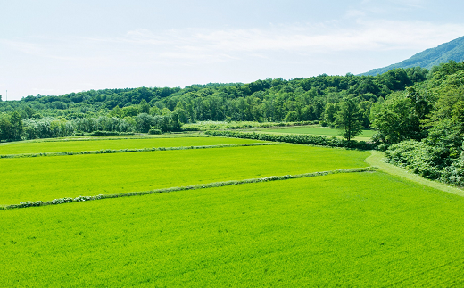 山形県南陽市のふるさと納税 令和7年産 JA 特別栽培米 つや姫 10kg (5kg×2袋) 『JA山形おきたま』 山形置賜産 米 精米 山形県 南陽市 [639]