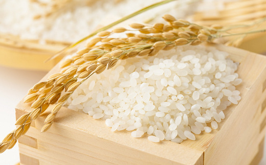 山形県南陽市のふるさと納税 令和7年産 JA 特別栽培米 つや姫 10kg (5kg×2袋) 『JA山形おきたま』 山形置賜産 米 精米 山形県 南陽市 [639]