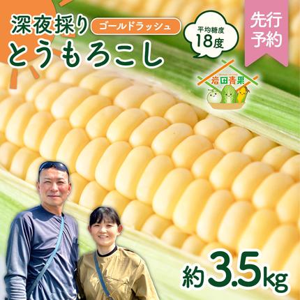 茨城県八千代町のふるさと納税 【先行予約 2026年6月中旬以降発送 】 【 令和8年産 】  深夜採り 朝出荷 とうもろこし （ ゴールドラッシュ ） 約 3.5kg トウモロコシ 深夜採り 甘い 新鮮 スイートコーン コーン 野菜 極甘 岩田さん 2026 [AX058ya]