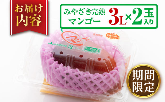 宮崎県日南市のふるさと納税 みやざき 完熟マンゴー 3L × 2玉 期間限定 数量限定 マンゴー 宮崎 フルーツ 果物 くだもの 国産 食品 先行予約 2026 令和8年発送 濃厚 デザート おやつ おすすめ 冷蔵 ご褒美 贅沢 おすそわけ ギフト 贈り物 贈答 日南市 送料無料_DA54-25