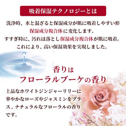 兵庫県小野市のふるさと納税 hadakara（ハダカラ）オリジナルセット 泡タイプ つめかえ用×10袋 [ ライオン LION ボディソープ ]