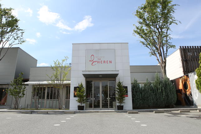 山梨県昭和町のふるさと納税 【マツコ＆有吉かりそめ天国で紹介されました！】エレンバウム「時のなる木」ハード(M) SWAL009