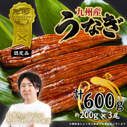 福岡県添田町のふるさと納税 きまぐれクック厳選 うなぎ 国産 3尾 (約600g) 九州産 手焼き 鰻 蒲焼き [a1000] 夏ギフト お中元 【返礼品】福岡県 添田町 ふるさと納税