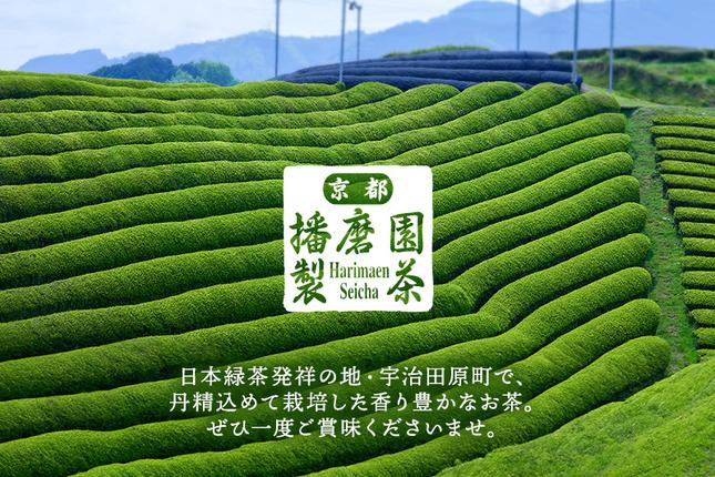 京都府宇治田原町のふるさと納税 有機宇治茶味わいセット 〈 有機 オーガニック 無農薬 玉露 煎茶 上煎茶 緑茶 茶葉 お茶葉 お茶 茶 最上級 産地直送 飲料 加工食品 〉