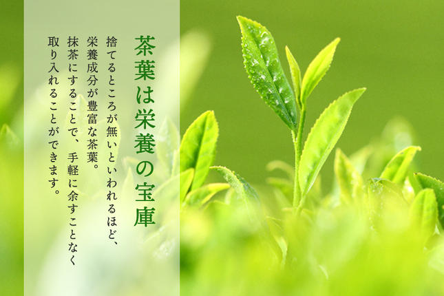 京都府宇治田原町のふるさと納税 お抹茶いっぷくセット(30ｇ缶入、いっぷく碗2客、茶せん、茶杓)〈宇治抹茶 抹茶 お抹茶 お茶 茶 粉末 茶道 抹茶セット 飲料 加工食品 工芸品〉 飲料類