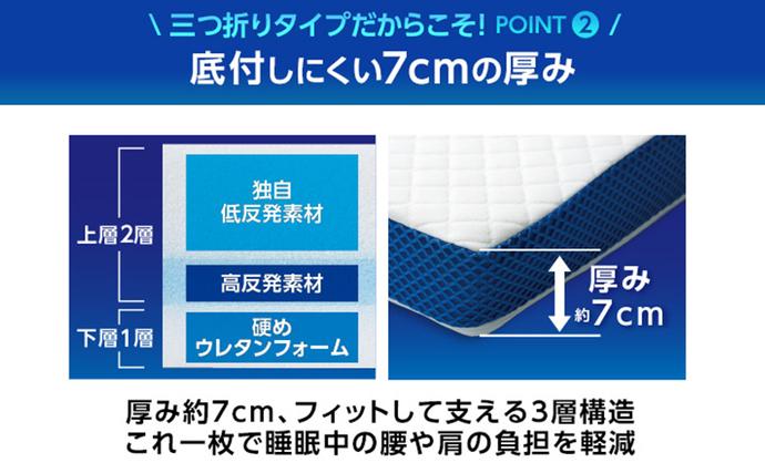 トゥルースリーパープレミアリッチ 三つ折りタイプ（シングル