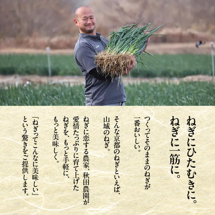 京都府木津川市のふるさと納税 京都山城のねぎ（九条ねぎ） ＃ねぎに恋するコロッケ 60g×5個入り 京野菜