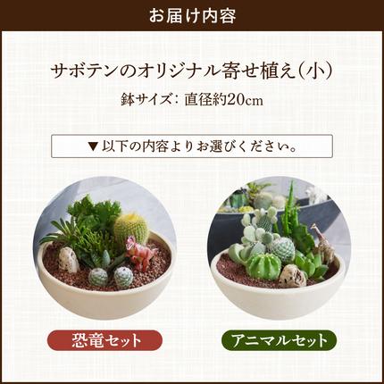 サボテンのオリジナル寄せ植え（小）【恐竜セット/アニマルセット