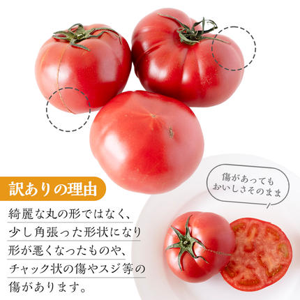 茨城県筑西市のふるさと納税 【 訳あり 】 スーパーフルーツトマト 大箱 約2.6kg × 1箱 【大玉 20～35玉】 2026年産 野菜ソムリエサミット 金賞 糖度9度 以上 野菜 フルーツトマト フルーツ トマト とまと 規格外 不揃い 傷  [AF055ci]