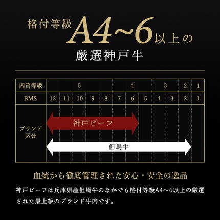 兵庫県加西市のふるさと納税 神戸牛 肩ロース すき焼き用肉 700g 牛肉 肉 ロース 国産 冷凍