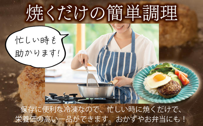 大阪府泉佐野市のふるさと納税 桜文 馬肉ハンバーグ 総量1.2kg（120g×10個） 個包装 005A658