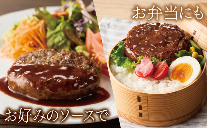 大阪府泉佐野市のふるさと納税 桜文 馬肉ハンバーグ 総量1.2kg（120g×10個） 個包装 005A658