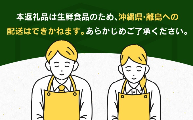 宮崎県日南市のふるさと納税 リピーター続出!!宮崎県産 完熟 マンゴー 2L以上×4玉 令和8年発送分 数量限定 フルーツ 果物 果汁 希少 濃厚 ジューシー 贅沢 上質 ご褒美 人気 国産 食品 おやつ デザート 産地直送 おすすめ ギフト プレゼント 贈り物 お土産 手土産 南国 日南市 送料無料_ED10-25
