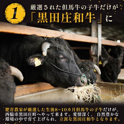 兵庫県西脇市のふるさと納税 【最短7営業日発送】【幻の神戸ビーフ】特選 黒田庄和牛（すき焼き用肩ロース、500g）≪冷蔵でお届け≫（tokusan-16）