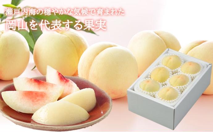 岡山県高梁市のふるさと納税 桃 2026 年先行予約 岡山 白桃 エース 4～6玉 1kg 岡山県産 JAおかやまのもも モモ 岡山県産 国産 フルーツ 果物 ギフト