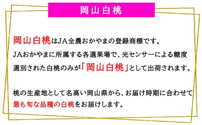 岡山県高梁市のふるさと納税 桃 2026 年先行予約 岡山 白桃 エース 4～6玉 1kg 岡山県産 JAおかやまのもも モモ 岡山県産 国産 フルーツ 果物 ギフト