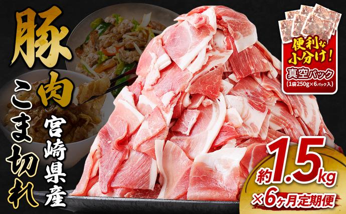 定期便 6回お届け 宮崎県産 いもこ豚 小