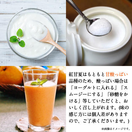鹿児島県阿久根市のふるさと納税 訳あり紅甘夏(約20kg) 国産 鹿児島県 阿久根市 果実 果物 フルーツ 柑橘 紅甘夏 みかん ミカン 期間限定 数量限定【桐野柑橘株式会社】akn070-09
