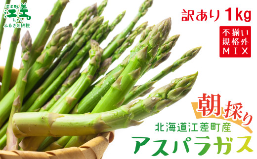 ＼夏アスパラ 先行予約受付中／《訳あり》北