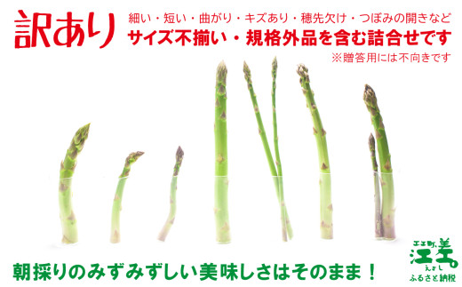 北海道江差町のふるさと納税 ＼夏アスパラ 先行予約受付中／《訳あり》北海道江差町産 アスパラガス 1kg【サイズ不揃い・規格外MIX】　見た目は良くなくても鮮度や味は正規品と変わりません！　朝採り　農家直送　新鮮　鮮度保持　北海道　旬野菜　グリーンアスパラ　アスパラ　ご自宅用　無選別・規格外・ハネ物・B品